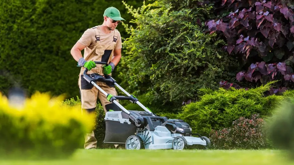 A professional landscaper in work attire mowing a green lawn with a modern push mower, ensuring a well-maintained yard.